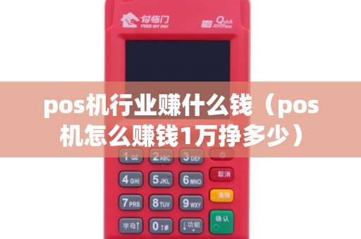 pos机行业赚什么钱（pos机怎么赚钱1万挣多少）