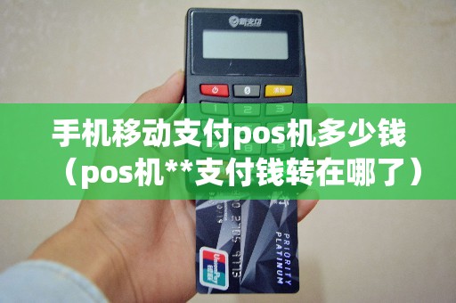 手机移动支付pos机多少钱（pos机**支付钱转在哪了）
