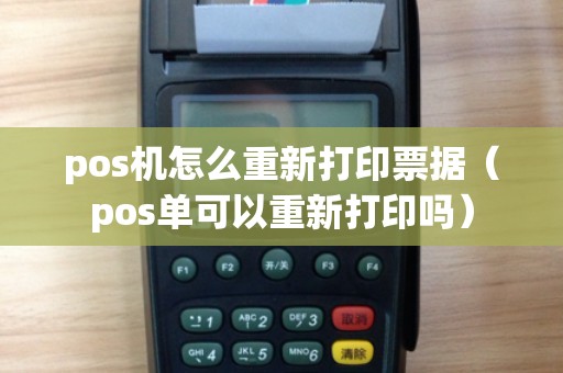 pos机怎么重新打印票据（pos单可以重新打印吗）