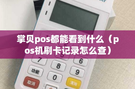 掌贝pos都能看到什么（pos机刷卡记录怎么查）