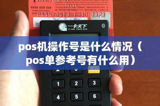 pos机操作号是什么情况（pos单参考号有什么用）