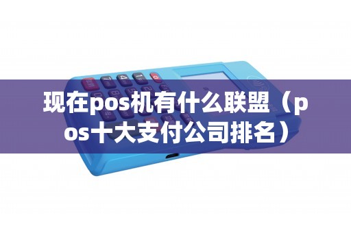 现在pos机有什么联盟（pos十大支付公司排名）
