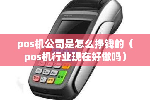 pos机公司是怎么挣钱的（pos机行业现在好做吗）