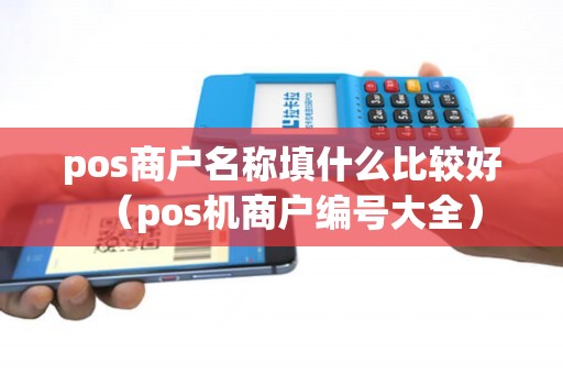 pos商户名称填什么比较好（pos机商户编号大全）