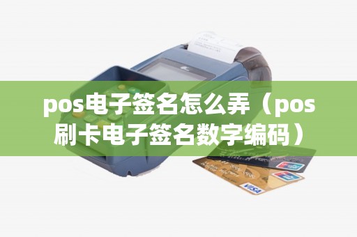 pos电子签名怎么弄（pos刷卡电子签名数字编码）