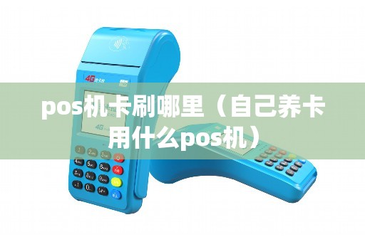 pos机卡刷哪里（自己养卡用什么pos机）