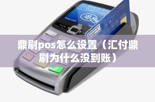 鼎刷pos怎么设置（汇付鼎刷为什么没到账）