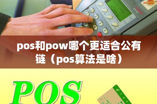 pos和pow哪个更适合公有链（pos算法是啥）