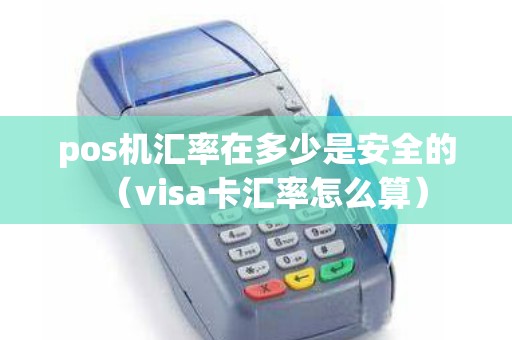 pos机汇率在多少是安全的（visa卡汇率怎么算）
