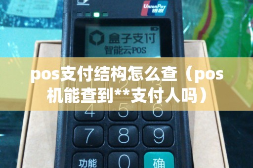 pos支付结构怎么查（pos机能查到**支付人吗）