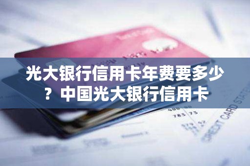 光大银行信用卡年费要多少？中国光大银行信用卡