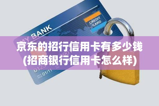 京东的招行信用卡有多少钱(招商银行信用卡怎么样)