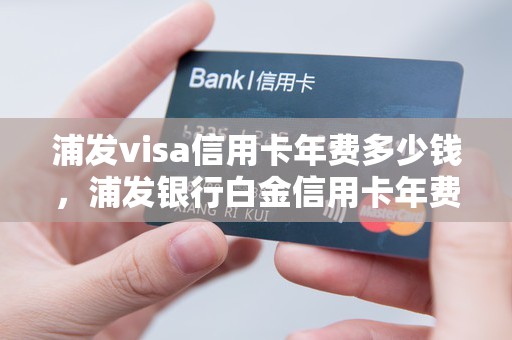 浦发visa信用卡年费多少钱,浦发银行白金信用卡年费 浦发visa信用卡年费多少钱,浦发银行白金信用卡年费