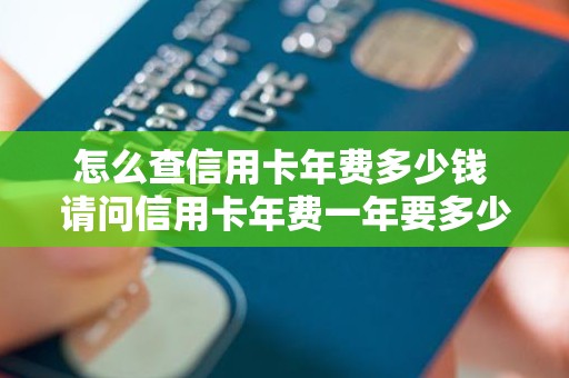 怎么查信用卡年费多少钱 请问信用卡年费一年要多少钱