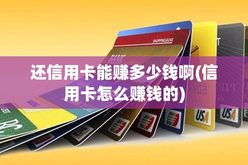 还信用卡能赚多少钱啊(信用卡怎么赚钱的)