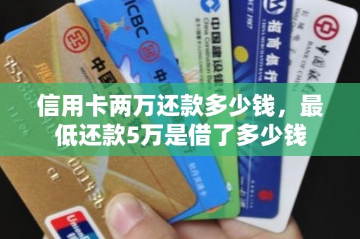 信用卡两万还款多少钱，最低还款5万是借了多少钱