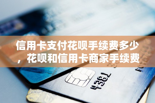 信用卡支付花呗手续费多少，花呗和信用卡商家手续费高
