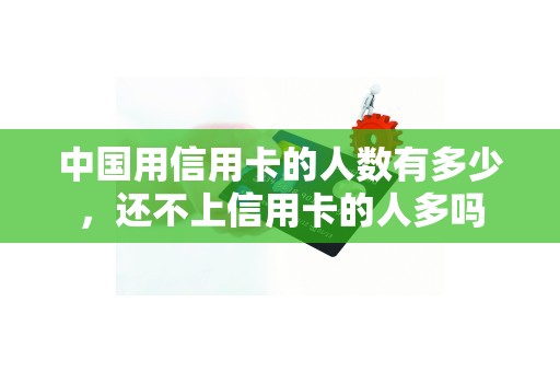 中国用信用卡的人数有多少，还不上信用卡的人多吗