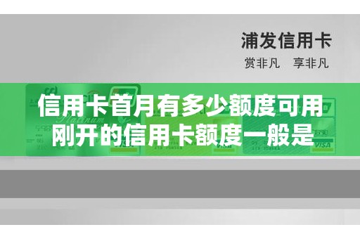 信用卡首月有多少额度可用 刚开的信用卡额度一般是多少