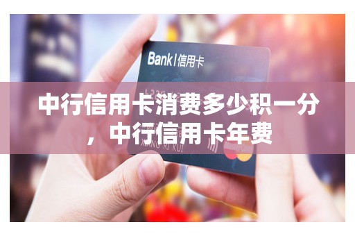 中行信用卡消费多少积一分，中行信用卡年费