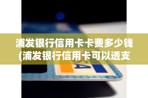 浦发银行信用卡卡费多少钱(浦发银行信用卡可以透支多少钱)