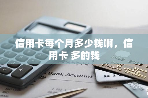 信用卡每个月多少钱啊，信用卡 多的钱
