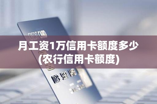 月工资1万信用卡额度多少(农行信用卡额度)