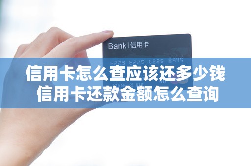 信用卡怎么查应该还多少钱 信用卡还款金额怎么查询