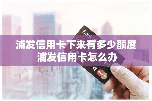 浦发信用卡下来有多少额度 浦发信用卡怎么办