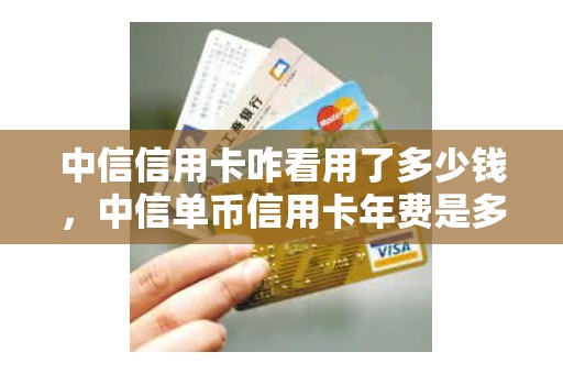 中信信用卡咋看用了多少钱，中信单币信用卡年费是多少钱