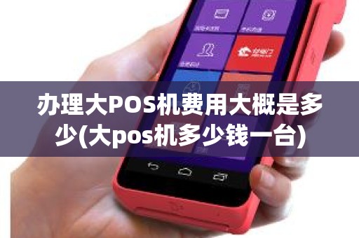 办理大POS机费用大概是多少(大pos机多少钱一台)
