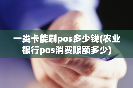 一类卡能刷pos多少钱(农业银行pos消费限额多少)