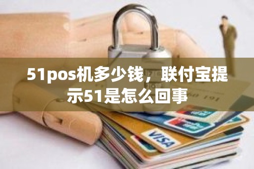 51pos机多少钱，联付宝提示51是怎么回事