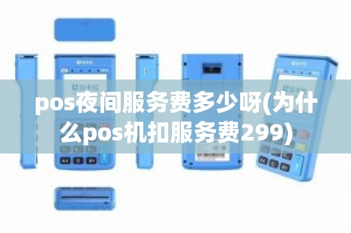 pos夜间服务费多少呀(为什么pos机扣服务费299)