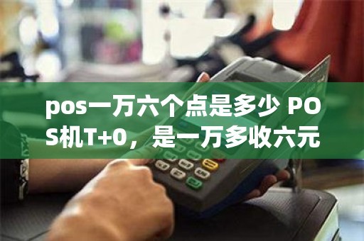pos一万六个点是多少 POS机T+0，是一万多收六元，还是按一笔一笔算了