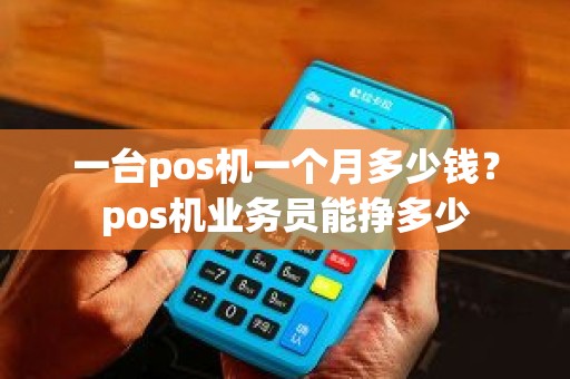 一台pos机一个月多少钱？pos机业务员能挣多少