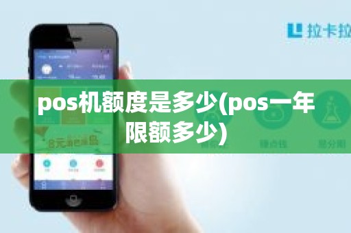 pos机额度是多少(pos一年限额多少)