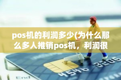 pos机的利润多少(为什么那么多人推销pos机，利润很大吗)