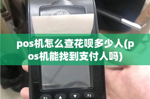 pos机怎么查花呗多少人(pos机能找到支付人吗)