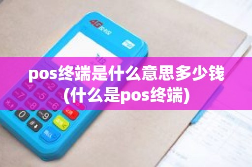 pos终端是什么意思多少钱(什么是pos终端)