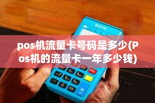 pos机流量卡号码是多少(Pos机的流量卡一年多少钱)