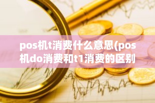 pos机t消费什么意思(pos机do消费和t1消费的区别)