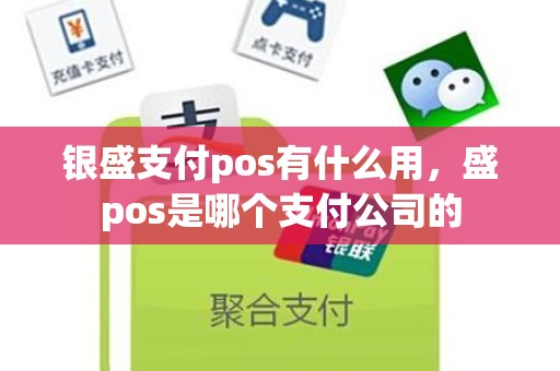 银盛支付pos有什么用，盛pos是哪个支付公司的
