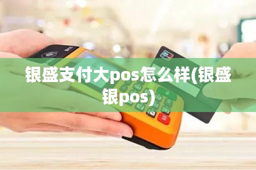 银盛支付大pos怎么样(银盛银pos)