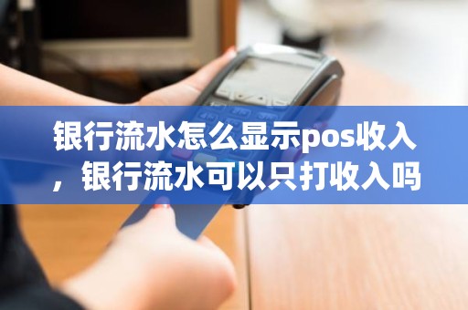 银行流水怎么显示pos收入，银行流水可以只打收入吗