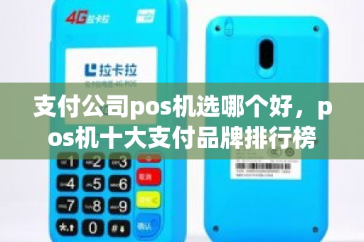 支付公司pos机选哪个好，pos机十大支付品牌排行榜