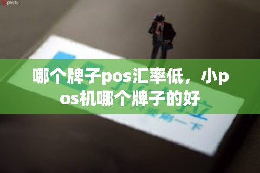 哪个牌子pos汇率低，小pos机哪个牌子的好