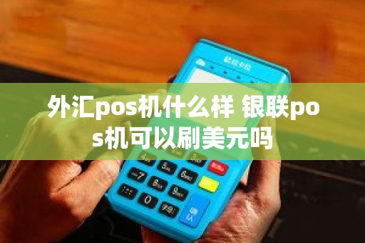 外汇pos机什么样 银联pos机可以刷美元吗