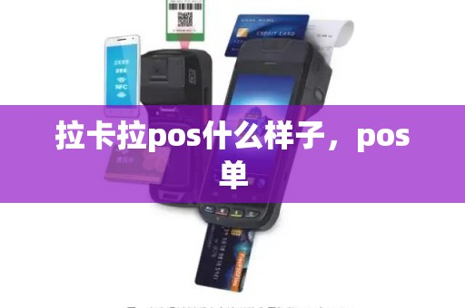 拉卡拉pos什么样子，pos单