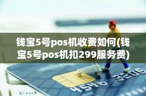 钱宝5号pos机收费如何(钱宝5号pos机扣299服务费)